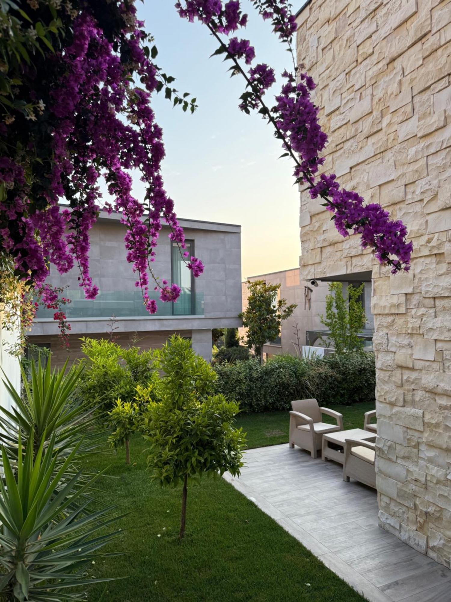 Spring Olea Drimades Villaer *